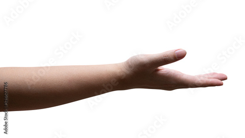 Women hand reach and ready to help or receive. Gesture isolated.