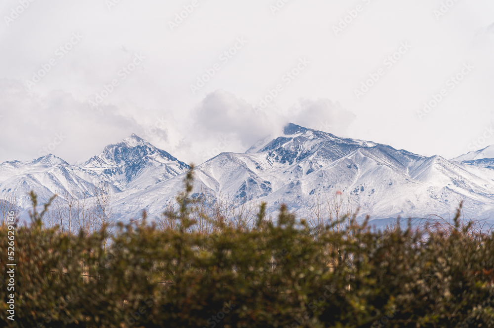 Fototapeta premium snow covered mountains
