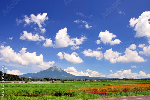 Naklejka 鳥取県 伯耆富士「大山」と夏空