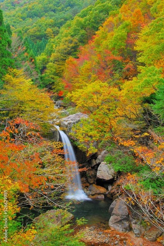 Naklejka 広島県三段峡 魚切滝の紅葉