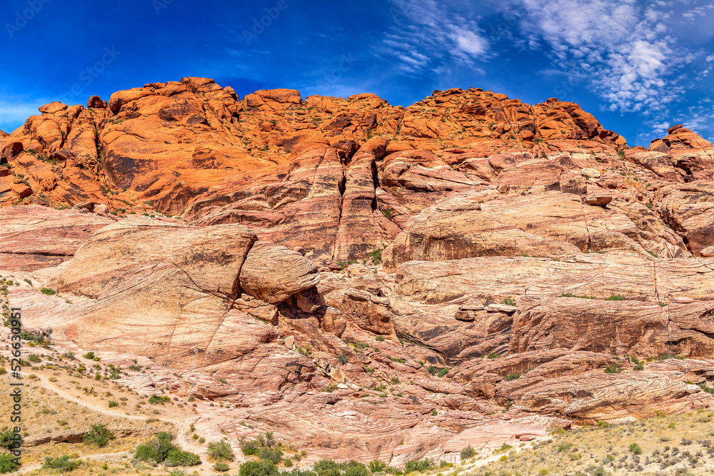 Fototapeta premium Red Rock Canyon, Nevada, USA
