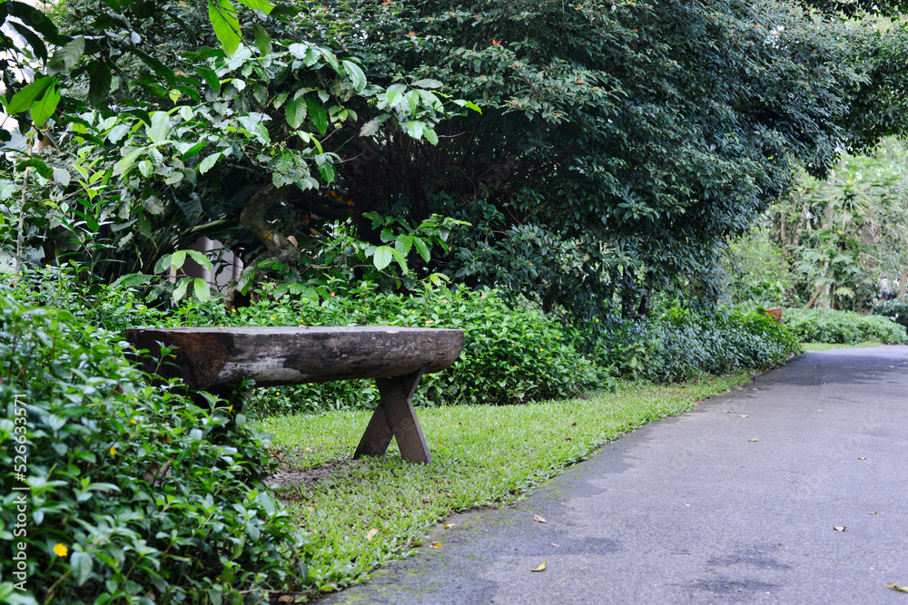 A wooden bench along a path in a tropical park A wooden bench along a path in a tropical park