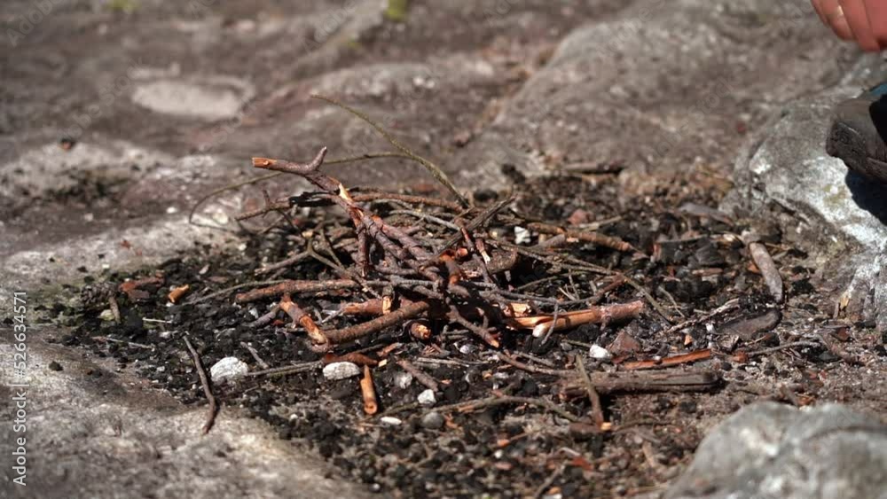 Hand with match trying to start small bonfire from dry pine branches - Closeup of hand with match and dry wood during sunny summer day in the forest