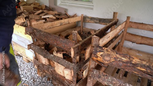 European male throwing chopped up firewood into pallet for storage and drying to prepare for winter photo