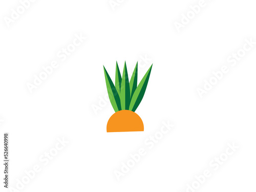 plant in a pot flower tree