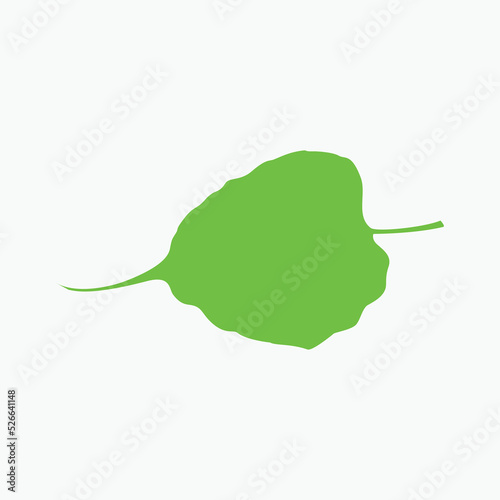 green leaf isolated on white background