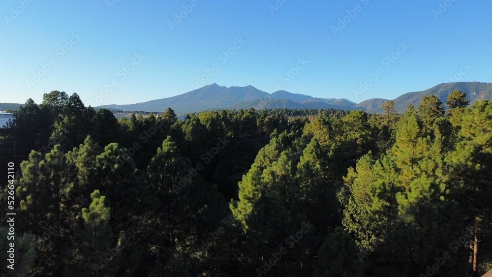 Fototapeta premium landscape with sky