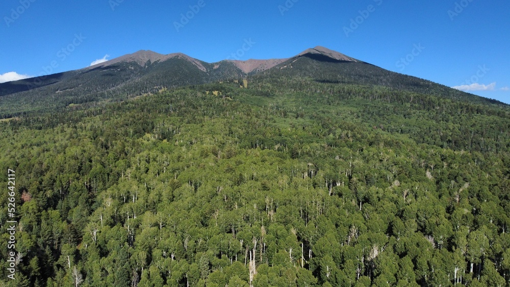 Fototapeta premium landscape with sky