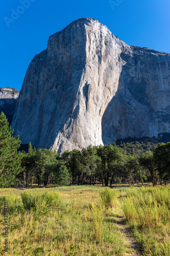 Early morning in Yosemite Valley  USA