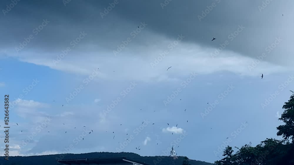 Flock of birds flying playing with windy sky under cloud rainy cloudspace in Thailand landscape slow motion