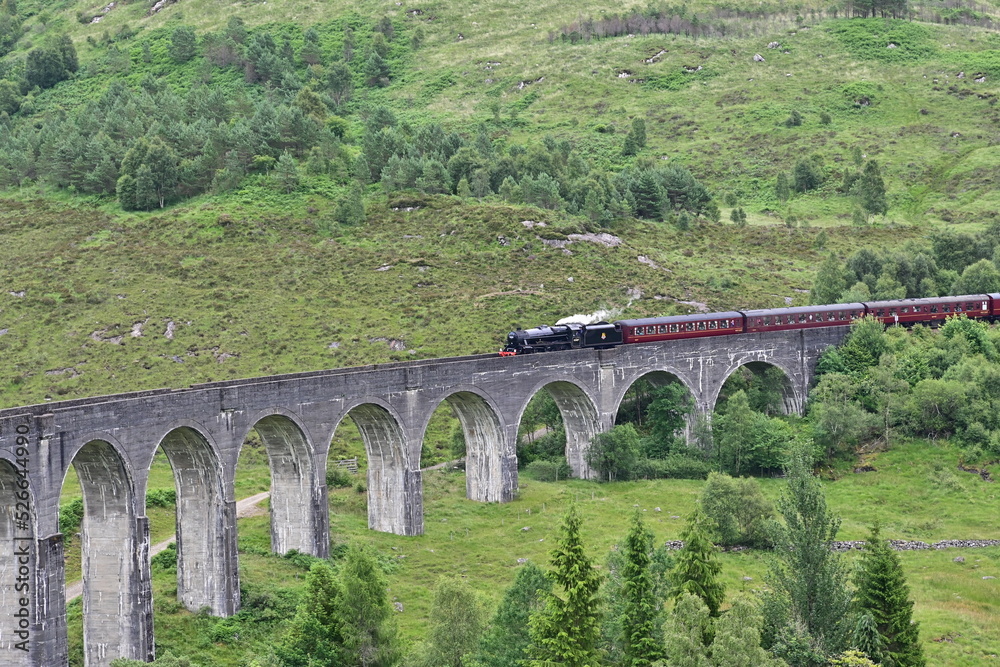 Obraz premium Hogwarts Express (Jacobite Steam Train) fährt über das Eisenbahn-Viadukt Glenfinnan Viaduct Harry Potter Brücke, Glennfinnan, Highlands, Schottland