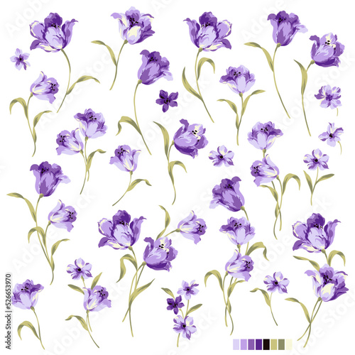 Beautiful tulip flower material collection,