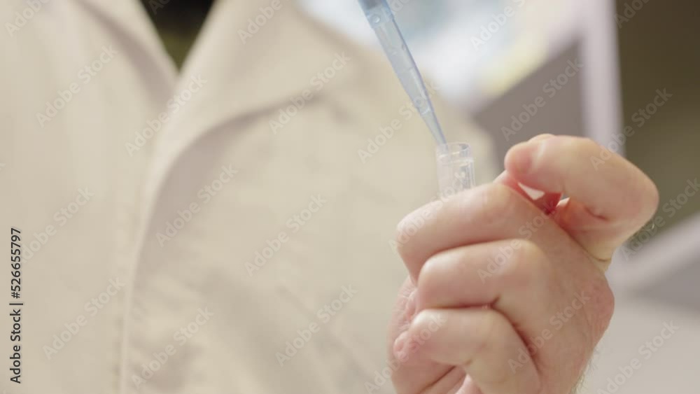 Scientist Inserts Clear Liquid into Test Tube with Micro Pipette, Close Up Scientist Inserts Clear Liquid into Test Tube with Micro Pipette, Close Up