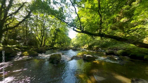 Flying over a River in a Spectacular Wales Forest with Sunlight coming through the Trees