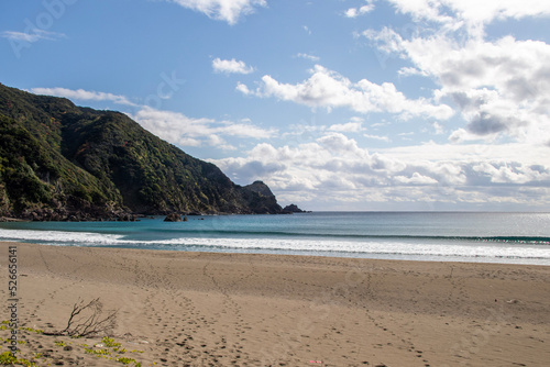 World Natural Heritage Site in Japan. A view of the sea of Amami Oshima Island

奄美大島の嘉徳ビーチ