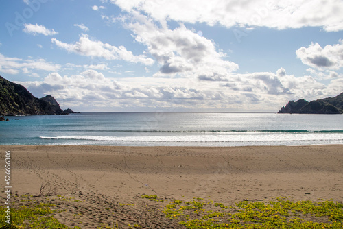 World Natural Heritage Site in Japan. A view of the sea of Amami Oshima Island

奄美大島の嘉徳ビーチ