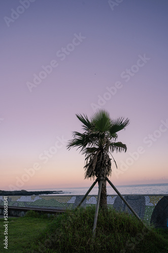 sunset on the beach