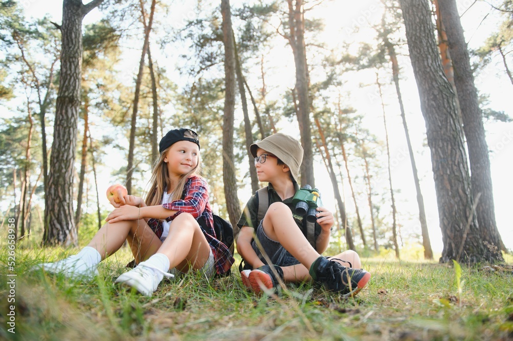 Fototapeta premium kids scouts in the forest.