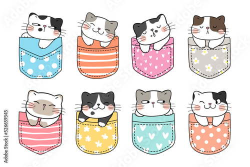 Draw collection funny cats in pocket