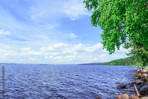 Summer water landscape along the coastline of the lake with white clouds on the blue sky. photo