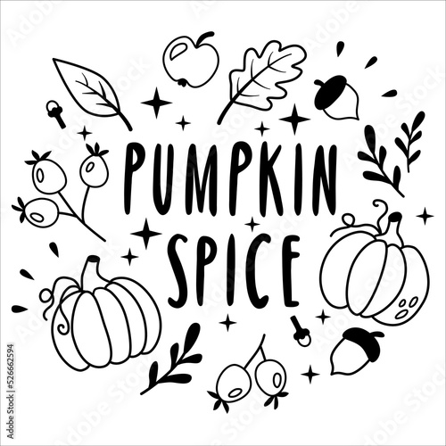 Lettering pumpkin spice. Set of autumn doodle line elements.