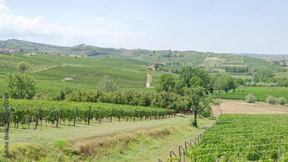 View over Wine Fields in Italy in Summer Time View over Wine Fields in Italy in Summer Time