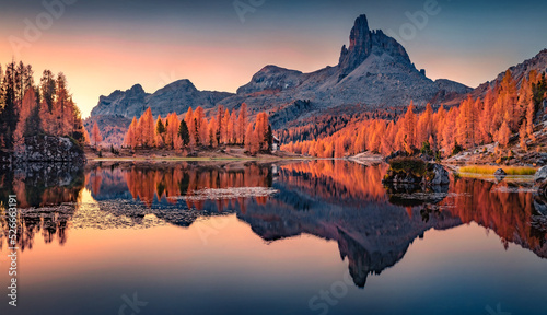 Calm autumn view of popular tourist destination - Federa lake among red larch trees. Superb dawn in Dolomite Alps. Spectacular morning scene of Italy, Europe. Beauty of nature concept background.