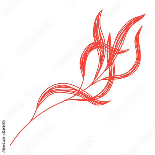 Willow branch. Red leaf sketch. Hand drawn vector illustration. Pen or marker doodle plant