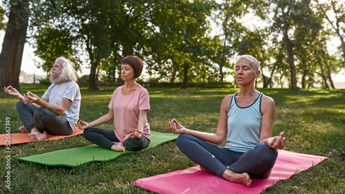 Senior friends practice yoga in lotus pose on lawn