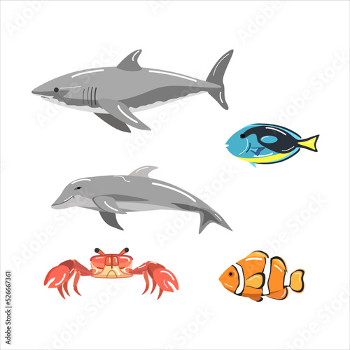 Illustration of a collection of sea animals
