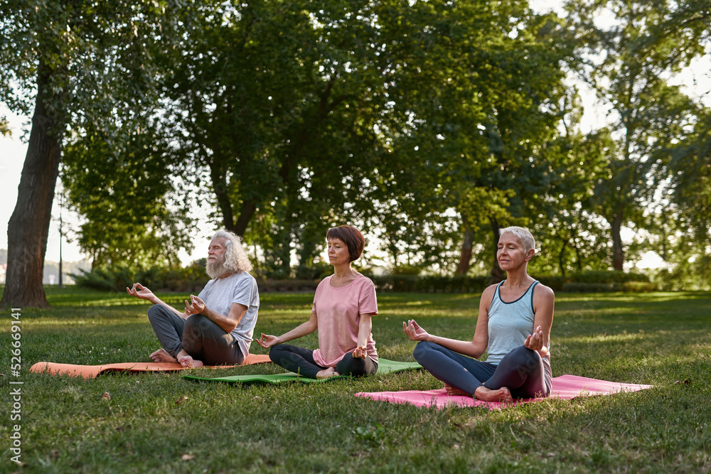 Elderly people practicing yoga in green park