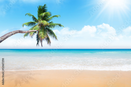 Fototapeta Naklejka Na Ścianę i Meble -  Sea, sand beach and palm tree