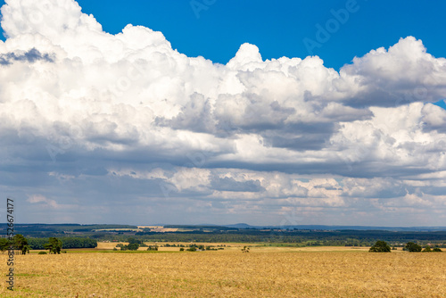 Beautiful view of the summer fields. Rural landscape.