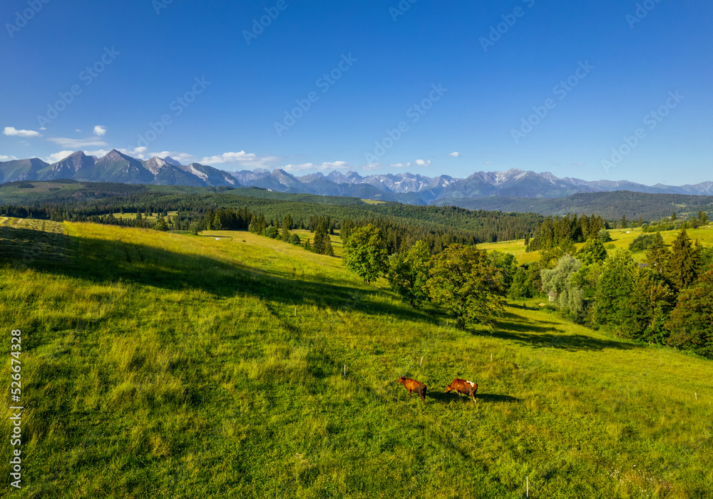 Countryside landscape in Podhale region in Tatras Mountains in Poland. Drone view.