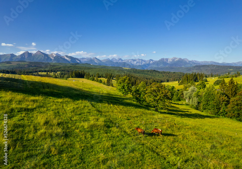 Countryside landscape in Podhale region in Tatras Mountains in Poland. Drone view.