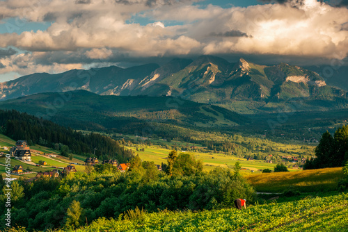 Tatra Mountains landscape, lush green meadows and trees at summer