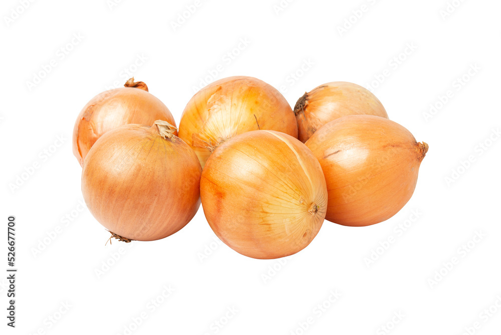 Fresh onion. Vegetable. Vegetarian and Vegan food. Fresh onion. Vegetable. Vegetarian and Vegan food.