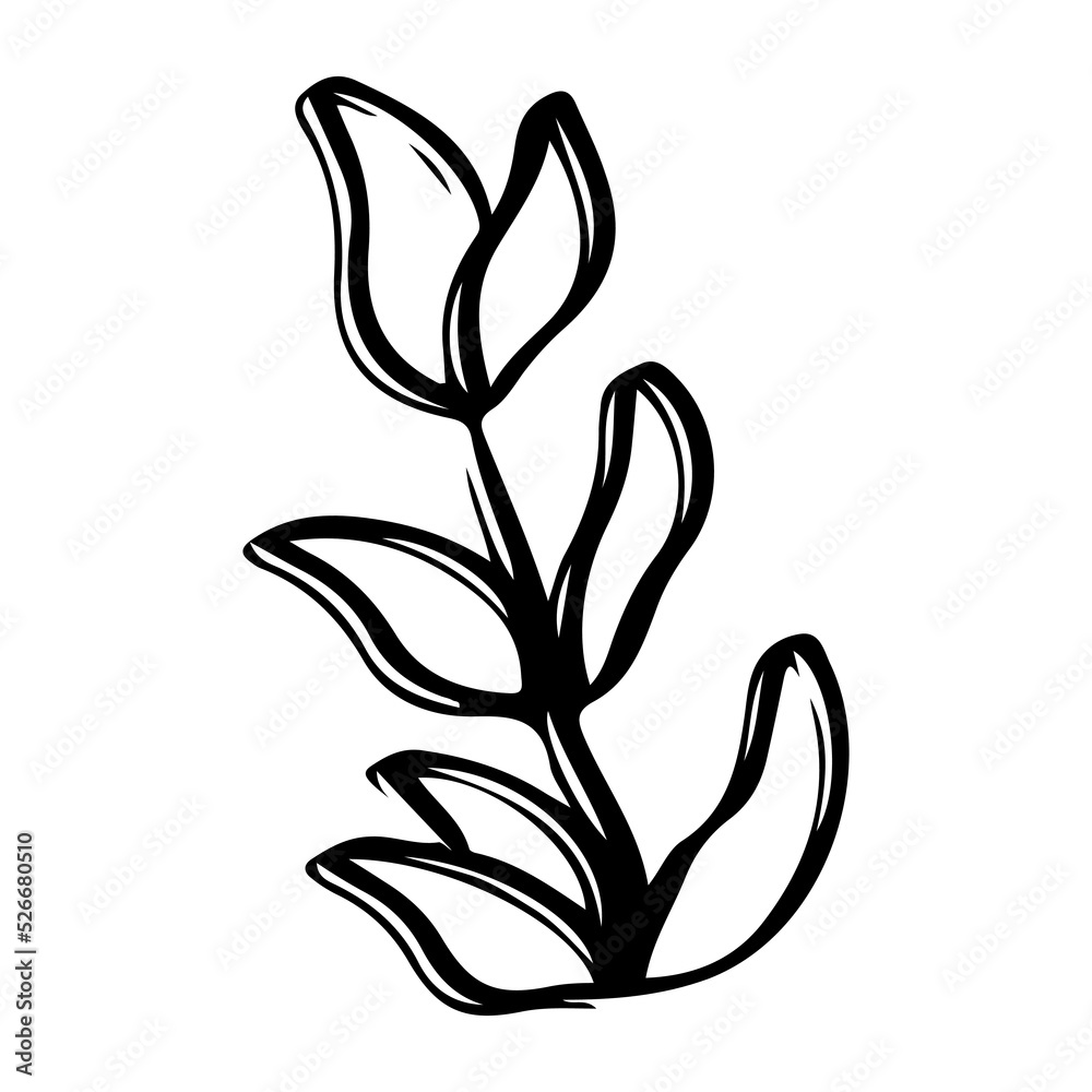 Botanical plant abstract hand drawn Botanical plant abstract hand drawn
