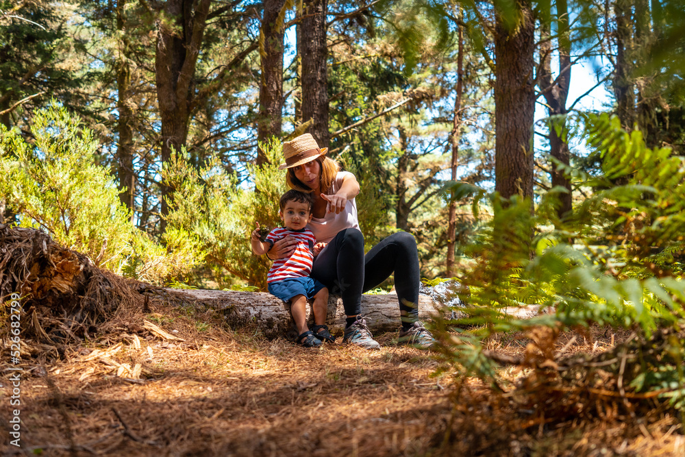 Portrait of a mother with her son sitting on a tree in nature next to pine trees Portrait of a mother with her son sitting on a tree in nature next to pine trees