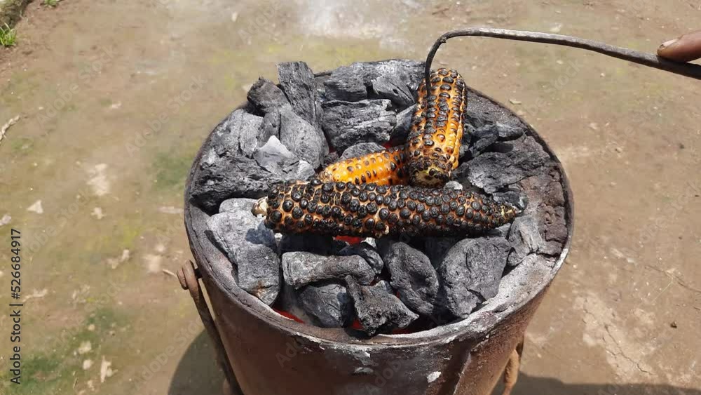 Grilled corn cobs on coal stove. Fresh roasted corncobs on coal fire