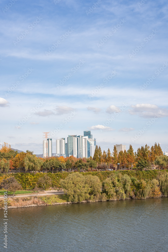 Obraz premium Autumn at Han River in Seoul