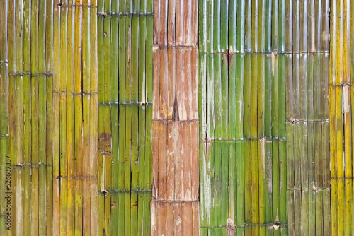 Bamboo wall. wall made of thin green bamboo. Strong wall. Palisade. Background of dry and fresh bamboo. bamboo wall of stems texture background