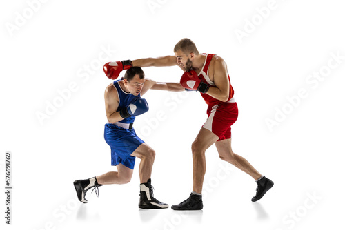 Fight. Professional male boxer in sports uniform and gloves training isolated on white background. Concept of sport, competition, training, energy