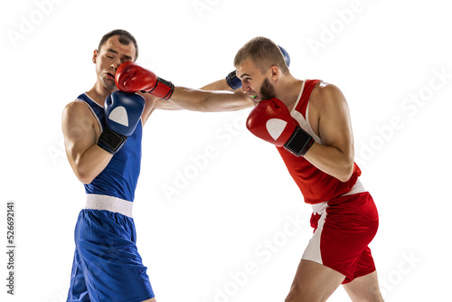Fight. Professional male boxer in sports uniform and gloves training isolated on white background. Concept of sport, competition, training, energy © master1305