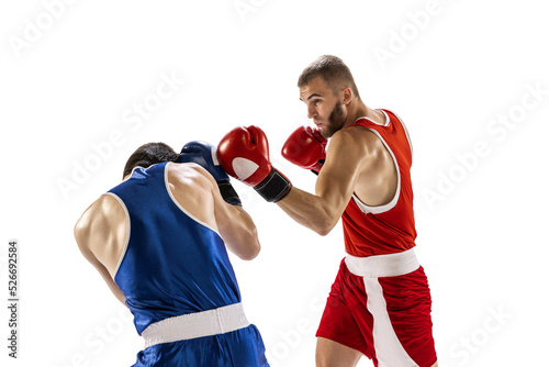 Fight. Professional male boxer in sports uniform and gloves training isolated on white background. Concept of sport, competition, training, energy © master1305