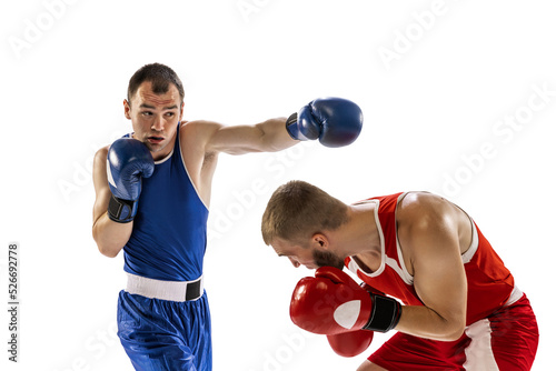 Young men, professional boxers in sports uniform boxing isolated on white studio background. Concept of sport, competition, training, energy © master1305