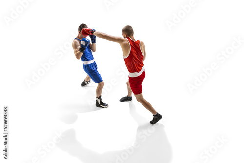 Fototapeta Naklejka Na Ścianę i Meble -  Fight. Professional male boxer in sports uniform and gloves training isolated on white background. Concept of sport, competition, training, energy