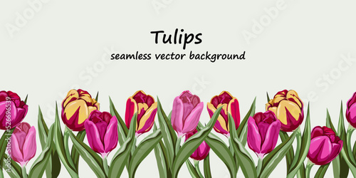 Seamless tulips flowers border hand drawn vector illustration isolated on background. Repeatable endless tulips bottom edging of frame or border.