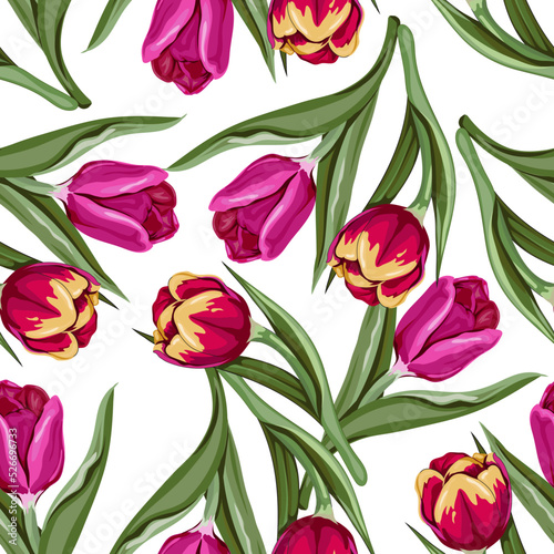 Seamless floral pattern with tulips flowers  hand drawn vector illustration on white background. Endless repeatable decorative backdrop with tulips.