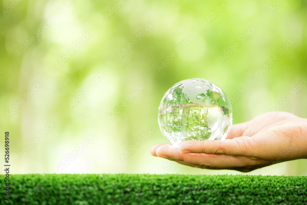 Human hand holding globe planet glass In green forest with bokeh nature lights. world environment day. concept for environment conservation, protect ecology earth and environmental eco-friendly life. Human hand holding globe planet glass In green forest with bokeh nature lights. world environment day. concept for environment conservation, protect ecology earth and environmental eco-friendly life.